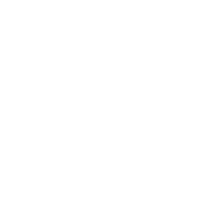 logo The Aesthetic Society